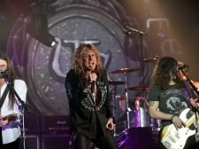 whitesnake_vl-3688