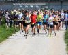 l_385334CERKNIŠKI POLMARATON 08 FOTO LJUBO VUKELIC