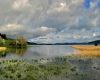 Cerknško jezero 2 Tine Schein